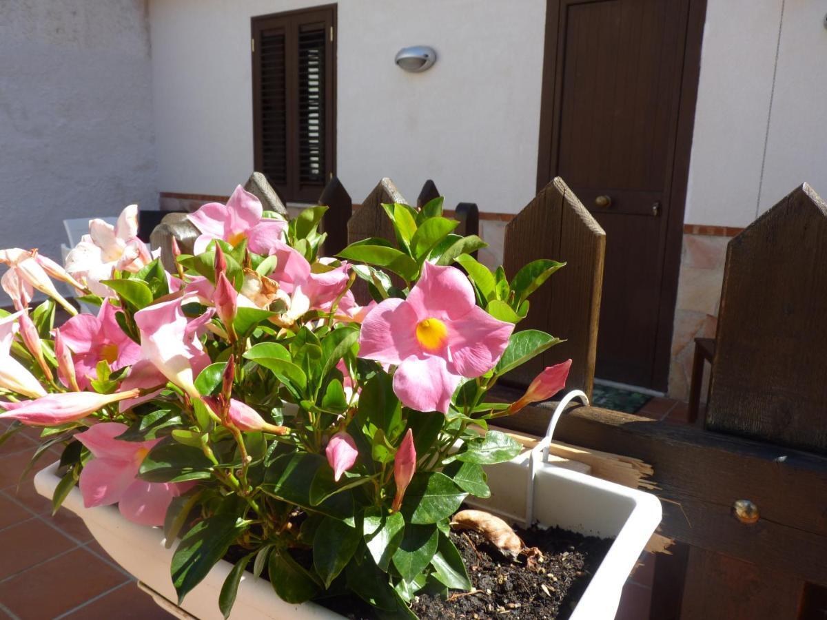 Villa Rosa Luxury Apartment Mondello Eksteriør bilde